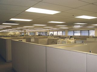 Cubicles1